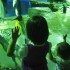 AQUOSに行ってきた